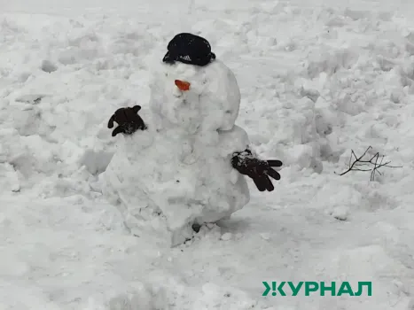 Снегопады в Кубани защитили чайные плантации и деревья от промерзания