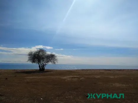 Экологи взыскали почти миллион рублей за загрязнение почвы в Краснодарском крае