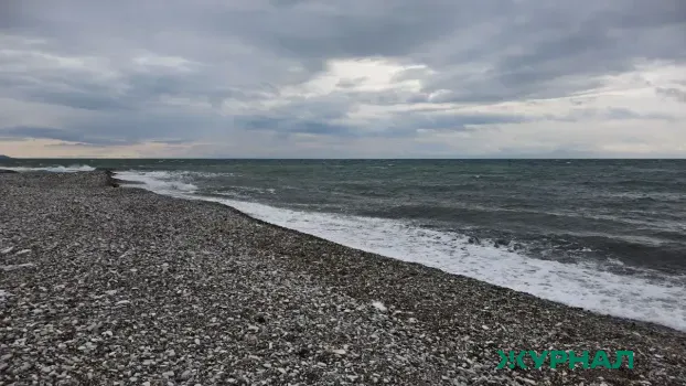 В Сочи мужчина купал детей в холодном море, полиция начала проверку