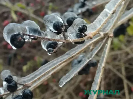 Непогода в Краснодарском крае: дожди, снег и гололедица ожидаются 26 января