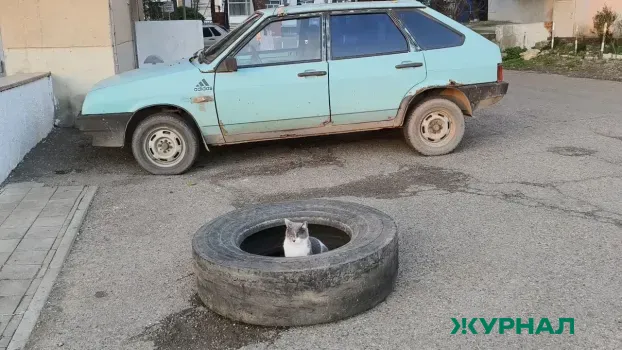 Автомобили без номеров продолжают стоять на платных парковках Краснодара