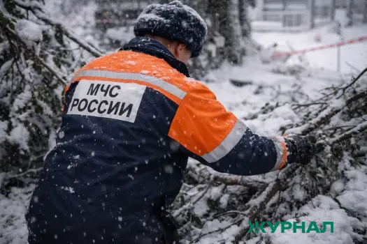 Турист с травмой ноги эвакуирован из Агурского ущелья в Сочи