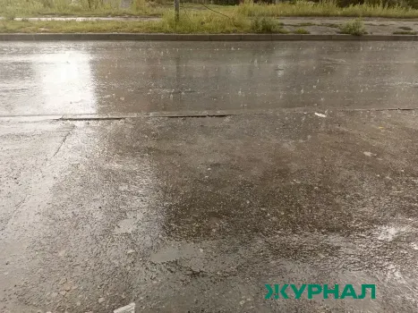 Тёплый и дождливый день ожидается в Краснодаре 31 января