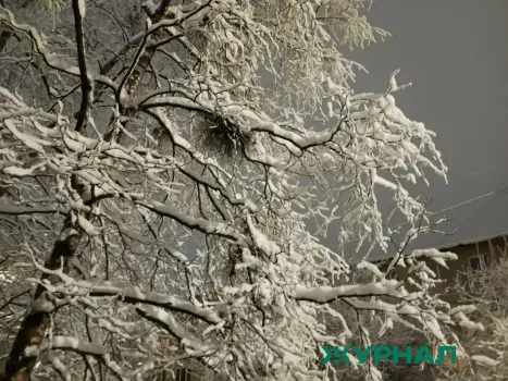 Сильные морозы ожидаются в Кубани на следующей неделе