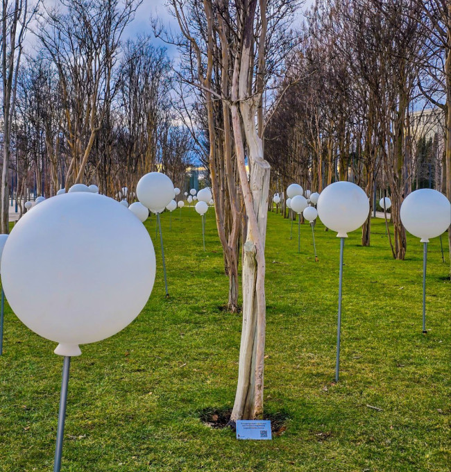 В парке Галицкого установили таблички с QR-кодами для растений