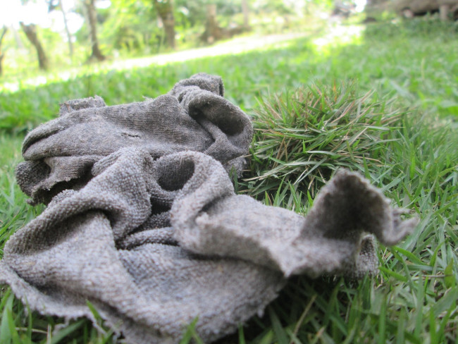 Эффективный способ избавиться от мышей и слизней с помощью тряпок и эфирного масла