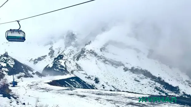 Сочи принял почти 700 тысяч туристов с начала года