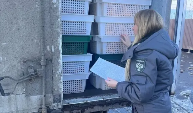 На Кубани пресечена нелегальная транспортировка 8,6 тонн продуктов