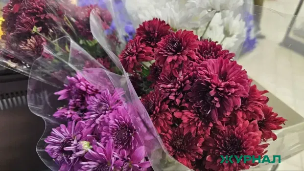 Губернатор Кубани проведёт праздничный приём и концерт к 8 марта