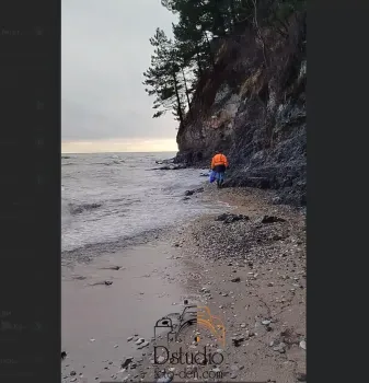 На пляже &laquo;Приморье&raquo; в Туапсе произошел массовый выброс хамсы после шторма