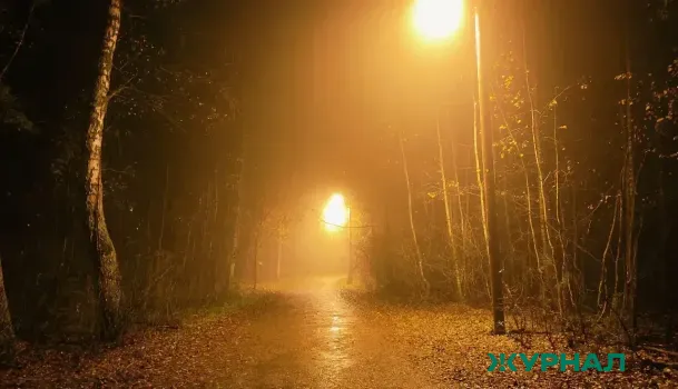 Погода в Краснодарском крае 5 февраля: туман, гололедица и переменная облачность