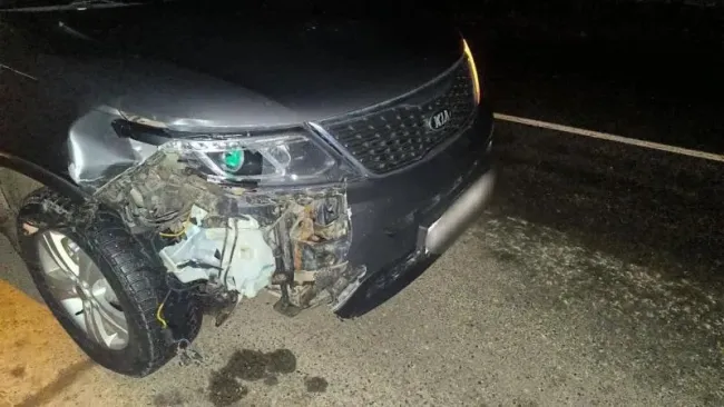 ДТП в Калининском районе: на трассе сбили женщину, она погибла