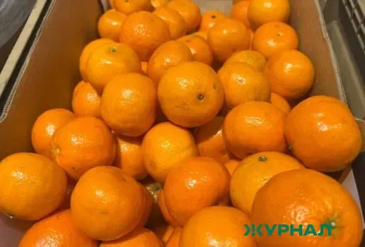 Контрабандные мандарины из Турции задержаны в Краснодарском крае