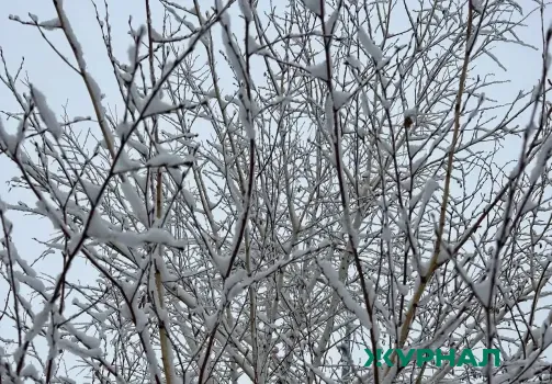 Погода в Краснодарском крае 10 февраля: снег, гололед и переменная облачность