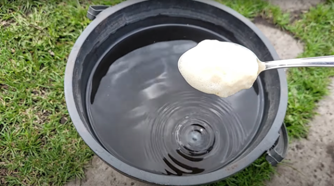 Эффективная подкормка для томатов и клубники: 2 ингредиента для плодородной почвы