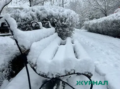 Снегопады в Краснодарском крае привели к превышению месячной нормы осадков