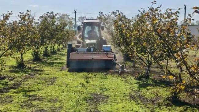 Агрофирма в Лабинском районе внедряет бережливые технологии для повышения эффективности