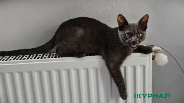 В Краснодаре из-за ремонта теплосети без отопления остались 72 дома