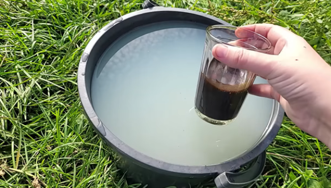 Питательный раствор из кефира и гумата для рыхлой почвы и крепкой рассады