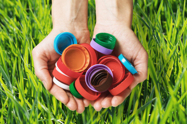 Эффективный способ избавиться от муравьев с помощью крышечек и сахарного сиропа