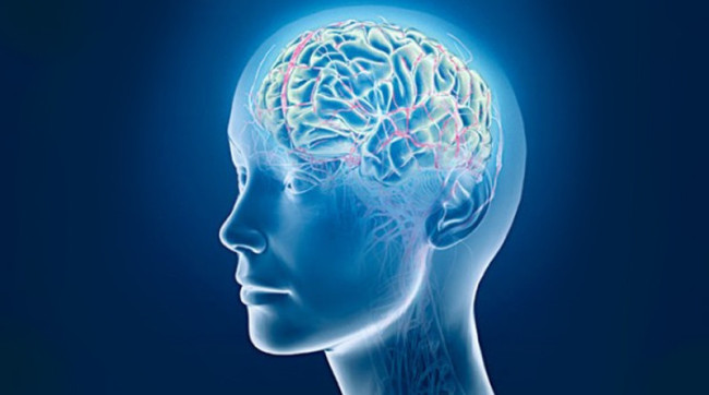 Дикий лосось: как жирные кислоты улучшают память и настроение