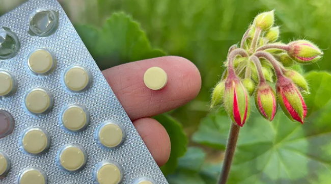 Фолиевая кислота для цветов: простой способ улучшить рост и цветение