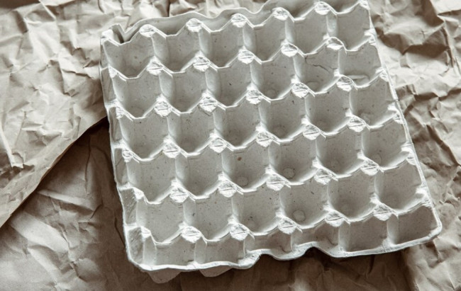 Лотки от яиц для защиты клубники: простой способ сохранить урожай