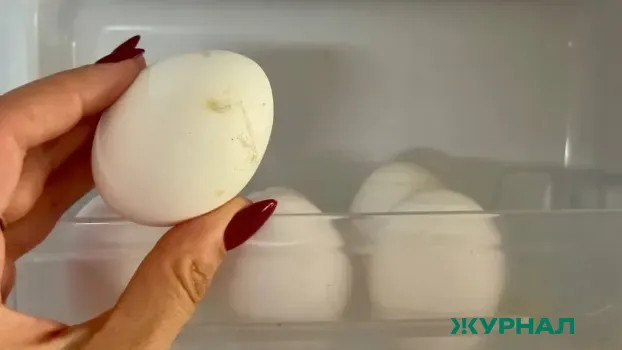 Куриные яйца в Краснодарском крае подорожали на 6,8% за неделю