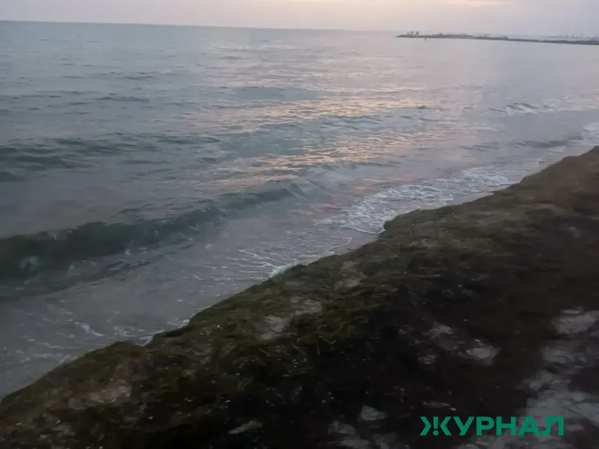 В Анапе и Веселовке убирают мазут после шторма на Черном море