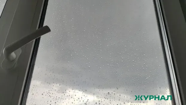 Пасмурная погода с дождем ожидается в Краснодаре 25 февраля