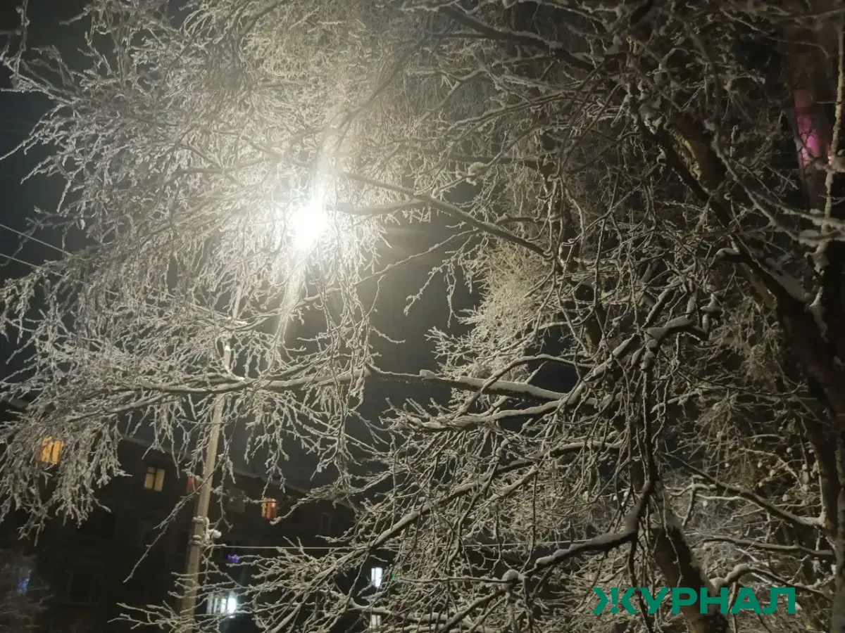 Пасмурная погода с дождем и снегом ожидает Краснодарский край 26 февраля