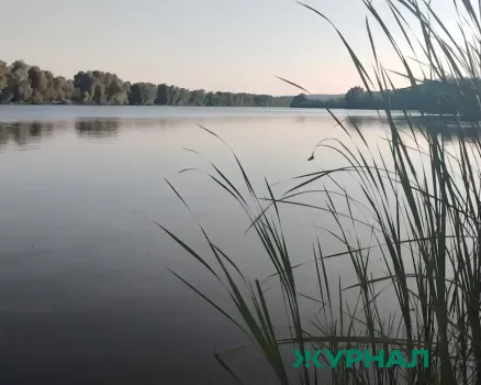 Краснодарцы жалуются на запах и загрязнение Карасунских озер