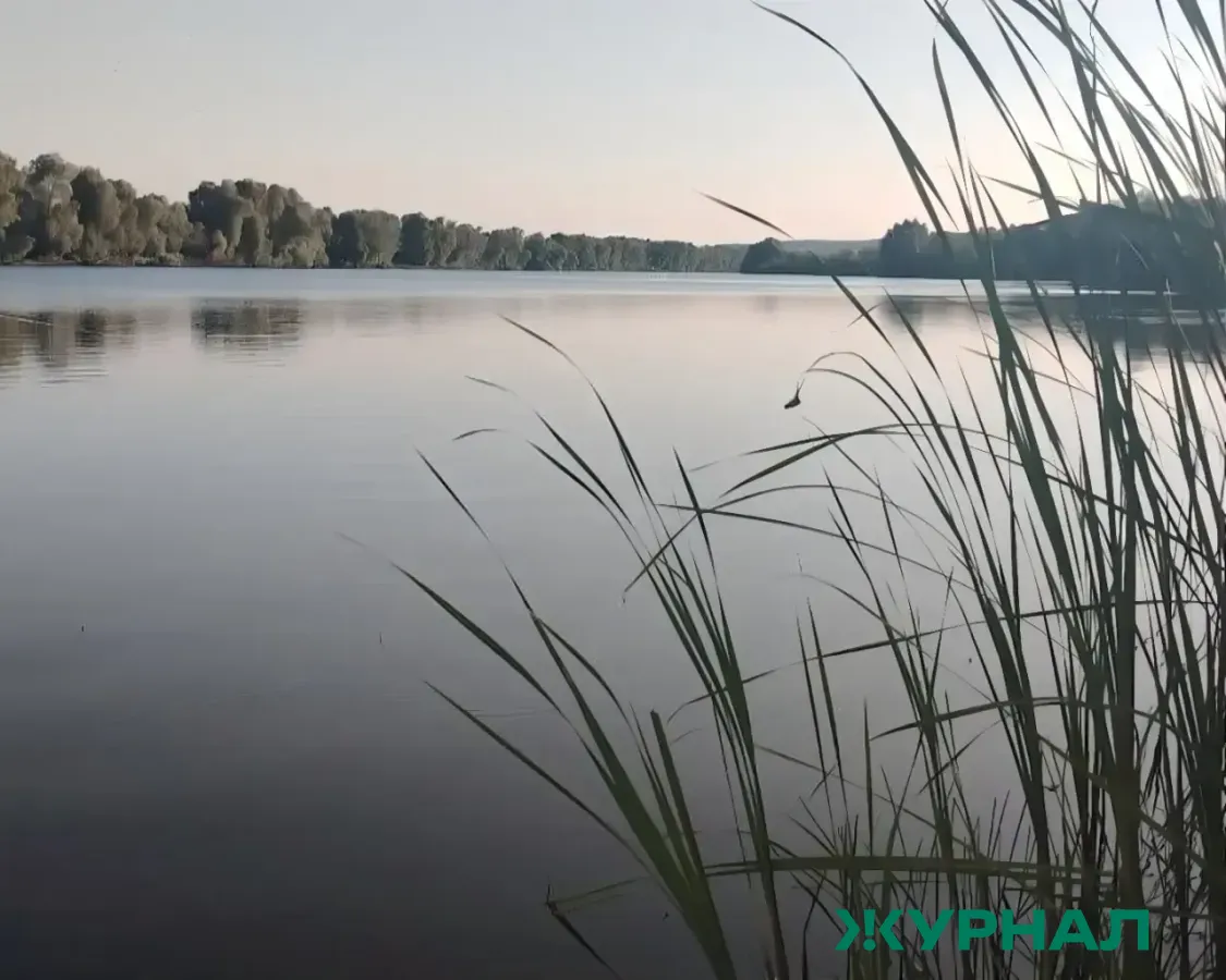 Краснодарцы жалуются на запах и загрязнение Карасунских озер