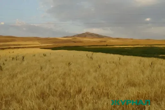 В Краснодарском крае сельхозземли переведут под добычу полезных ископаемых