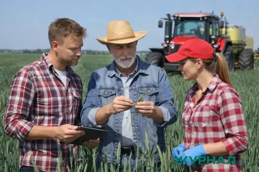 Весенняя посевная кампания началась в Краснодарском крае