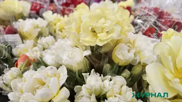 В Краснодаре откроются новые точки продажи цветов к 8 марта