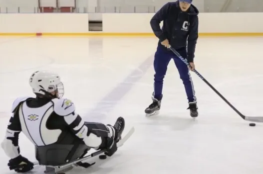 Адаптивный спорт в Краснодарском крае: достижения и поддержка ветеранов СВО