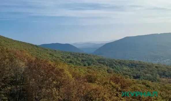 Погода в Краснодарском крае: 10 марта ожидается до 15 градусов тепла