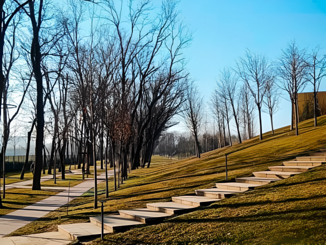 В парке Галицкого открыли новые прогулочные аллеи в &laquo;Парке облаков&raquo;
