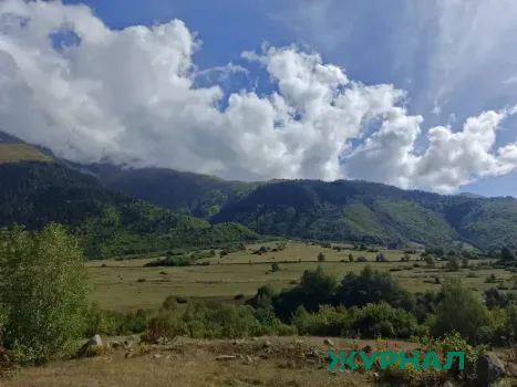 Теплый день в Краснодаре: температура достигнет +18 градусов перед похолоданием