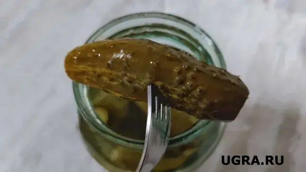 Салат из соленых огурцов и яиц с пикантной заправкой за 10 минут