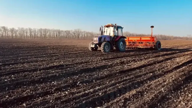 Сев ранних яровых культур начался в Краснодаре