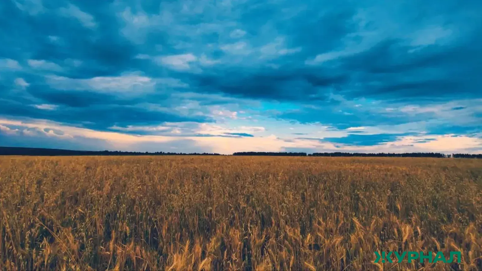 Режим ЧС в Краснодарском крае отменён