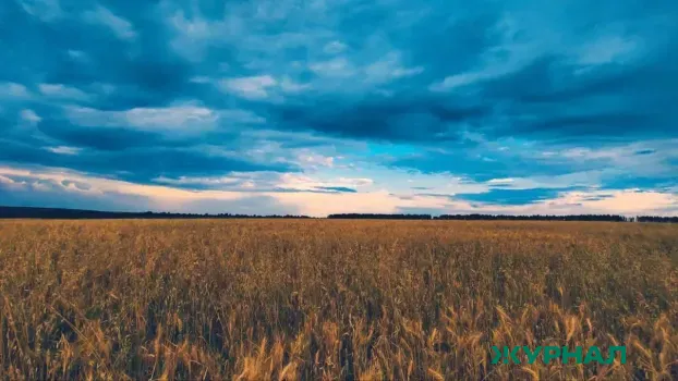 Режим ЧС в Краснодарском крае отменён