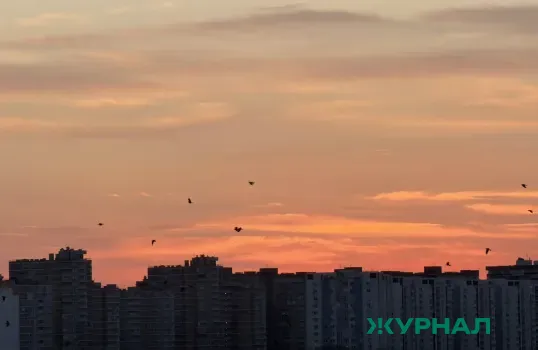 Загрязнение воздуха в Краснодаре: что известно о причинах