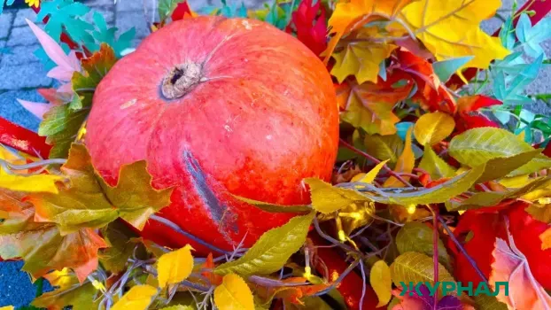 Тыква для здоровья печени: как всего несколько раз в неделю улучшить её состояние