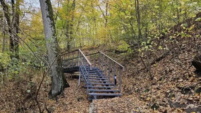 В Горячем Ключе благоустроен терренкур в природной зоне &laquo;Лесной парк&raquo;