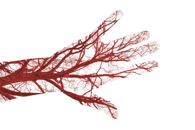 Пейте воду и избегайте тромбообразования: 3 простых совета от врача