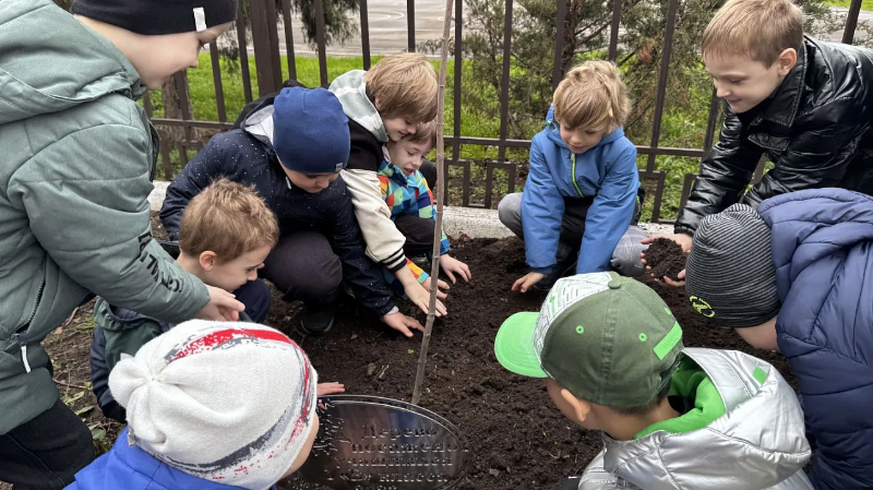 В Краснодаре школьники высаживают деревья и кустарники в образовательных учреждениях