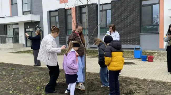 В Краснодаре высадили более 600 деревьев и кустарников в школах и садах